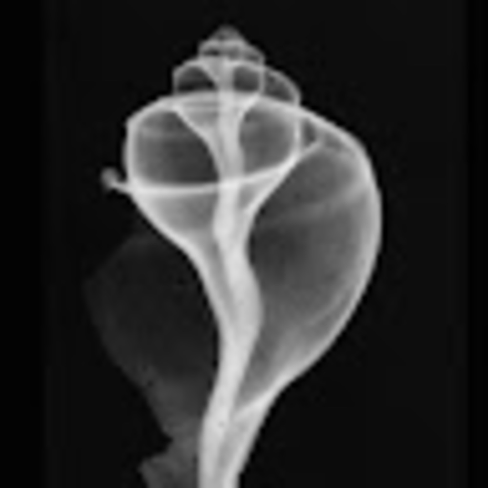 Meet your Posher, Bb-8